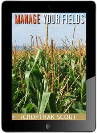 ManageYourFields